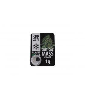 Critical Mass CBD Jelly 22%