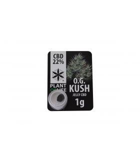 OG Kush CBD Jelly 22%