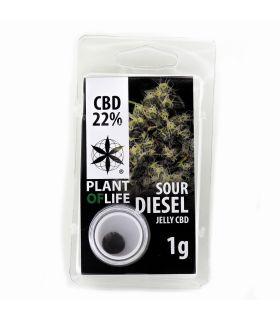 Sour Diesel CBD Jelly 22%