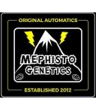 Σπόροι κάνναβης απο τη Mephisto Genetics