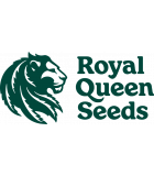 Royal Queen Seeds