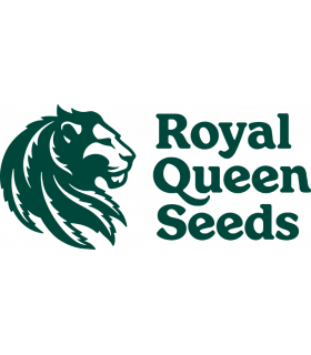 Royal Queen Seeds