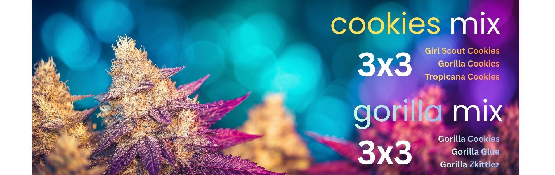 Νεα Mix Packs σποράδικο Cookies και Gorilla - Απόλαυσε τις αγαπημένες ποικιλίες σου