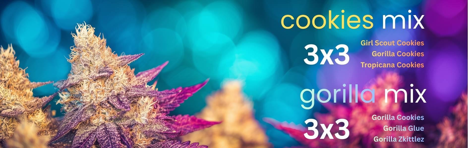 Νεα Mix Packs σποράδικο Cookies και Gorilla - Απόλαυσε τις αγαπημένες ποικιλίες σου