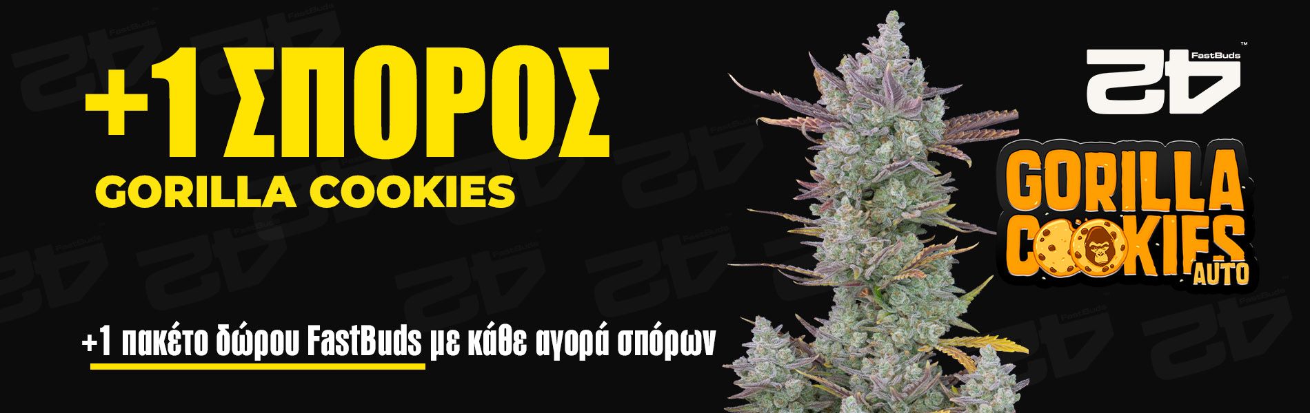 FB plus 1 promo