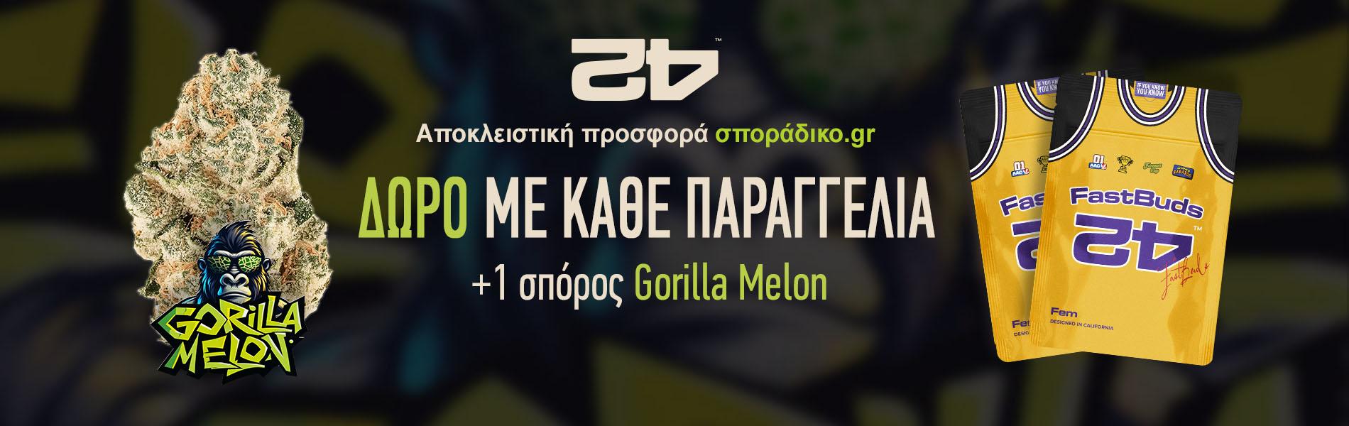 Gorilla Melon - Fastbuds +1 seed